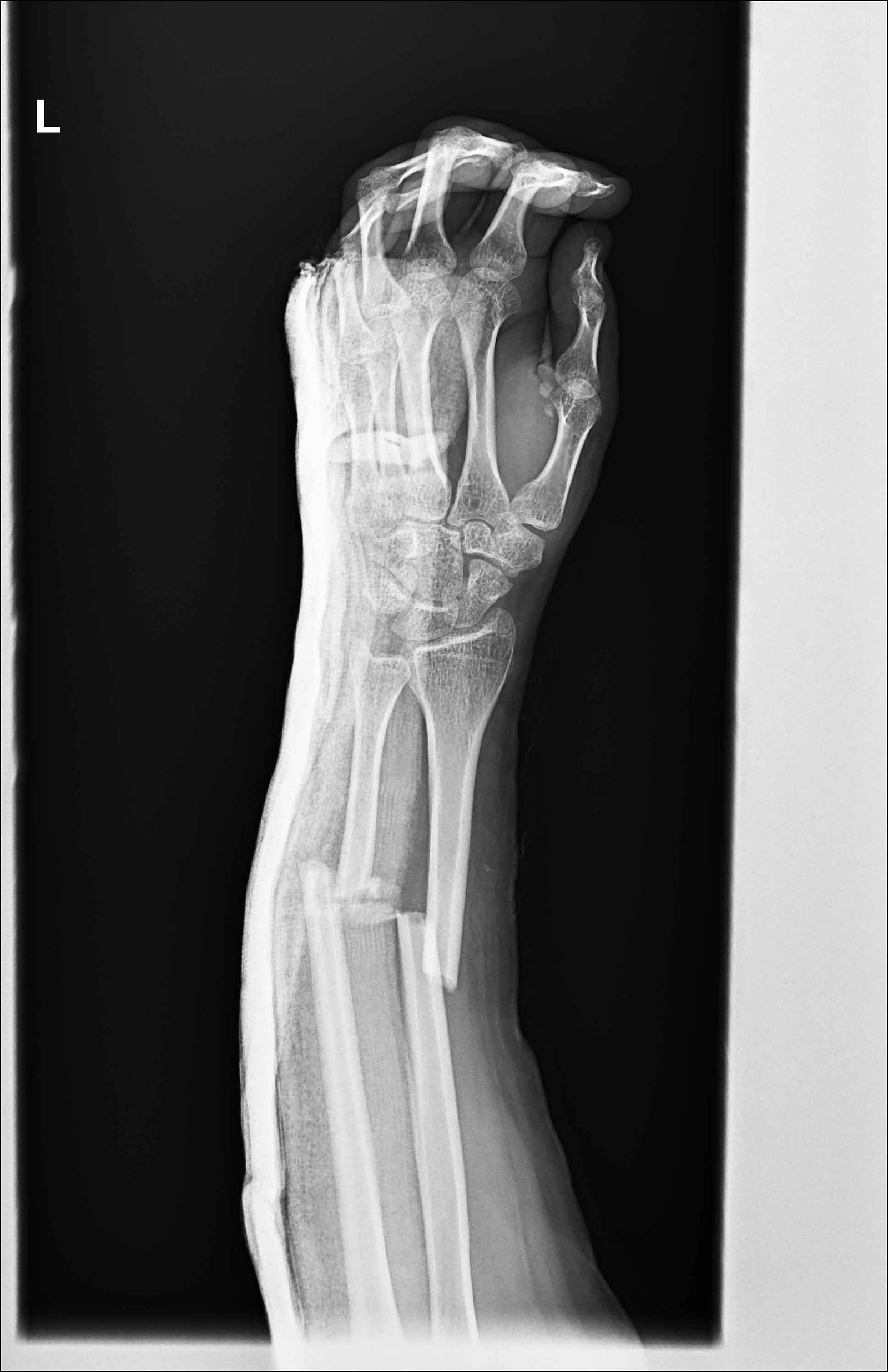 Slider Image 5